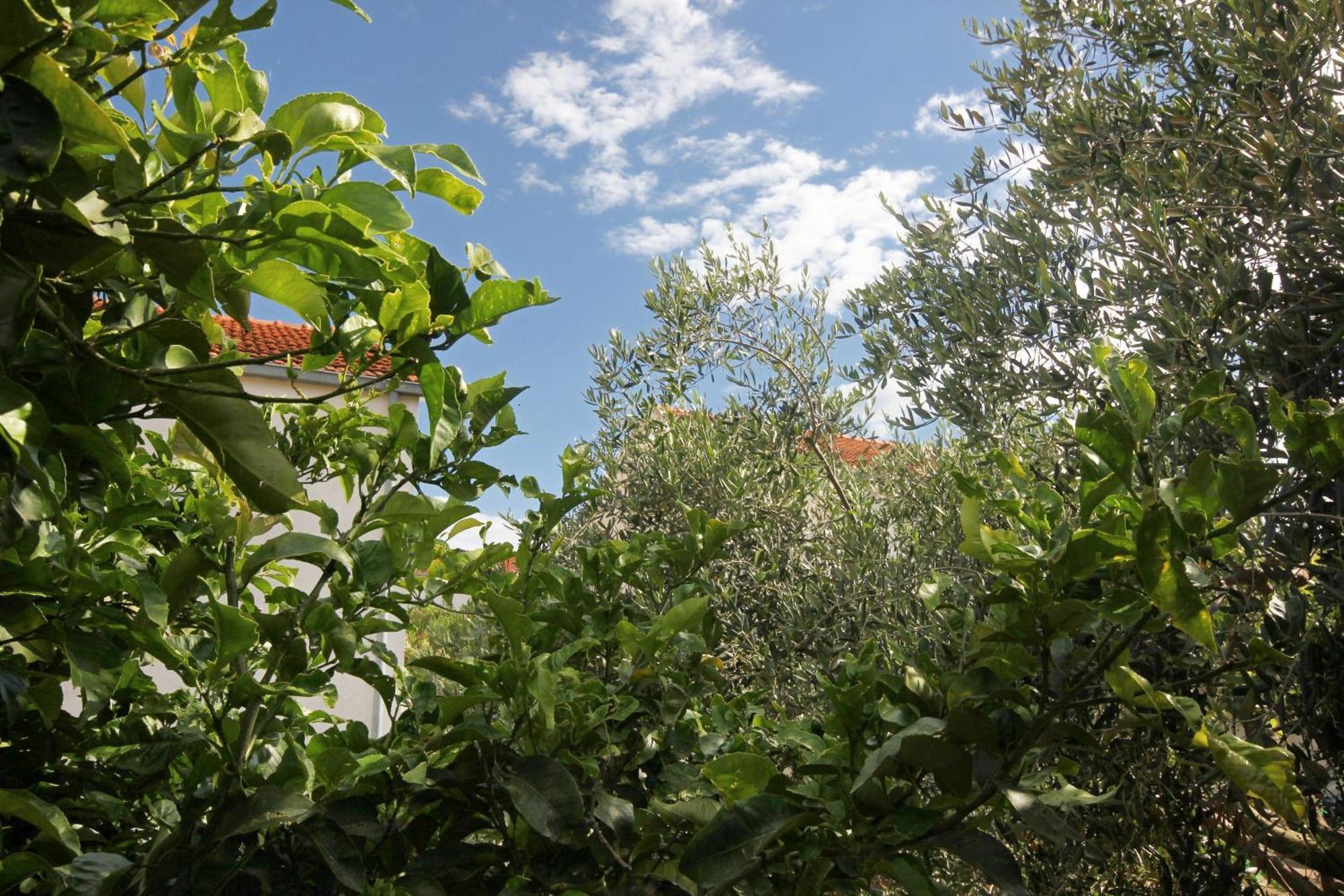 Holiday House With A Parking Space Orebic, Peljesac - 9482 Exterior foto